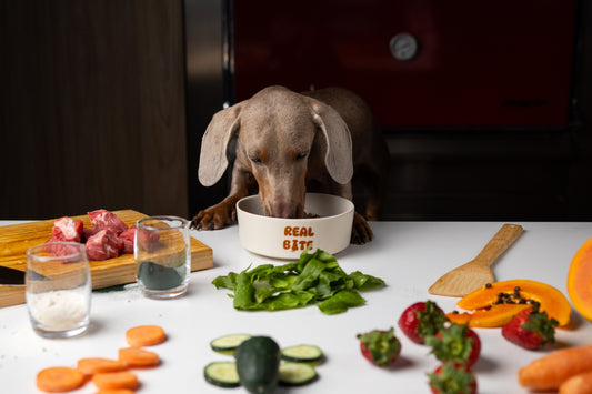 Mejor digestión en perros