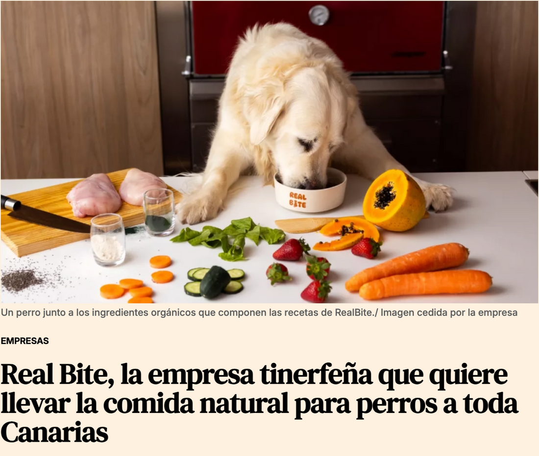 Real Bite en Atlántico Hoy: comida natural para perros hecha en Canarias