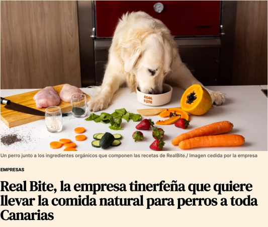 Real Bite en Atlántico Hoy: comida natural para perros hecha en Canarias