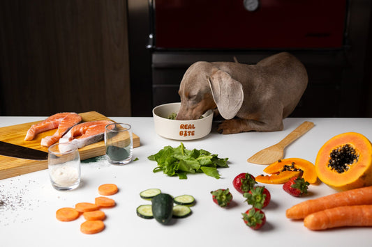 Perro comiendo Real Bite, comida natural para perros disponible en Gran Canaria