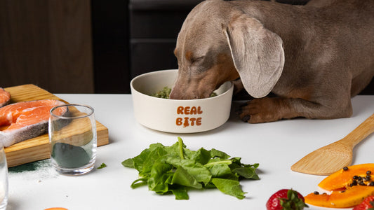 Perro comiendo Real Bite junto a vegetales de una alimentación natural